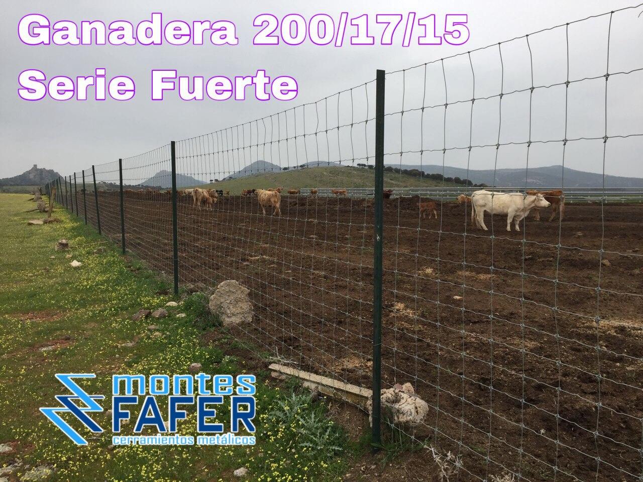 Malla Ganadera 200-17-15 serie fuerte MontesFafer